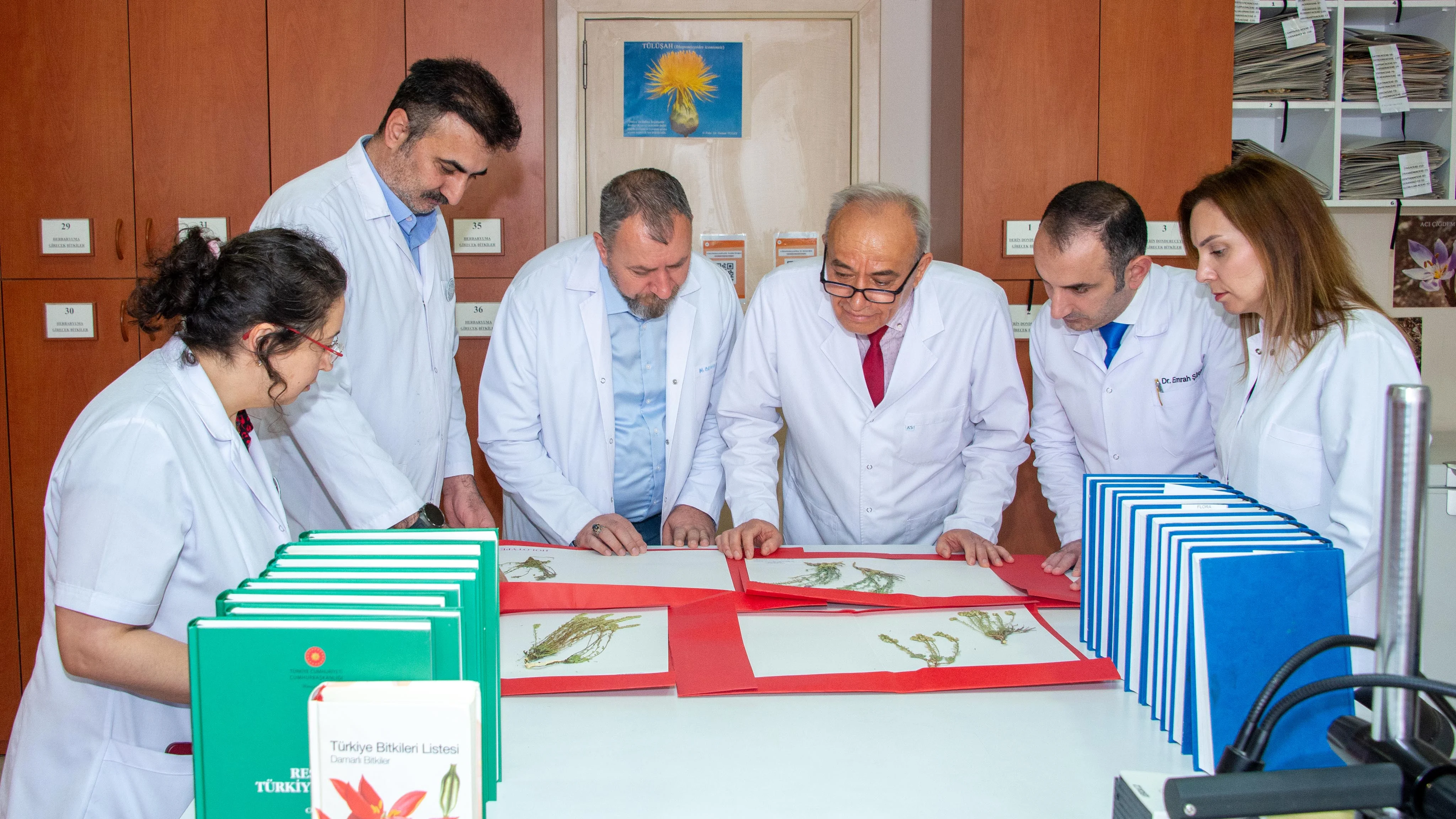Selçuk Üniversitesi akademisyenleri 4 yeni bitki türü keşfetti